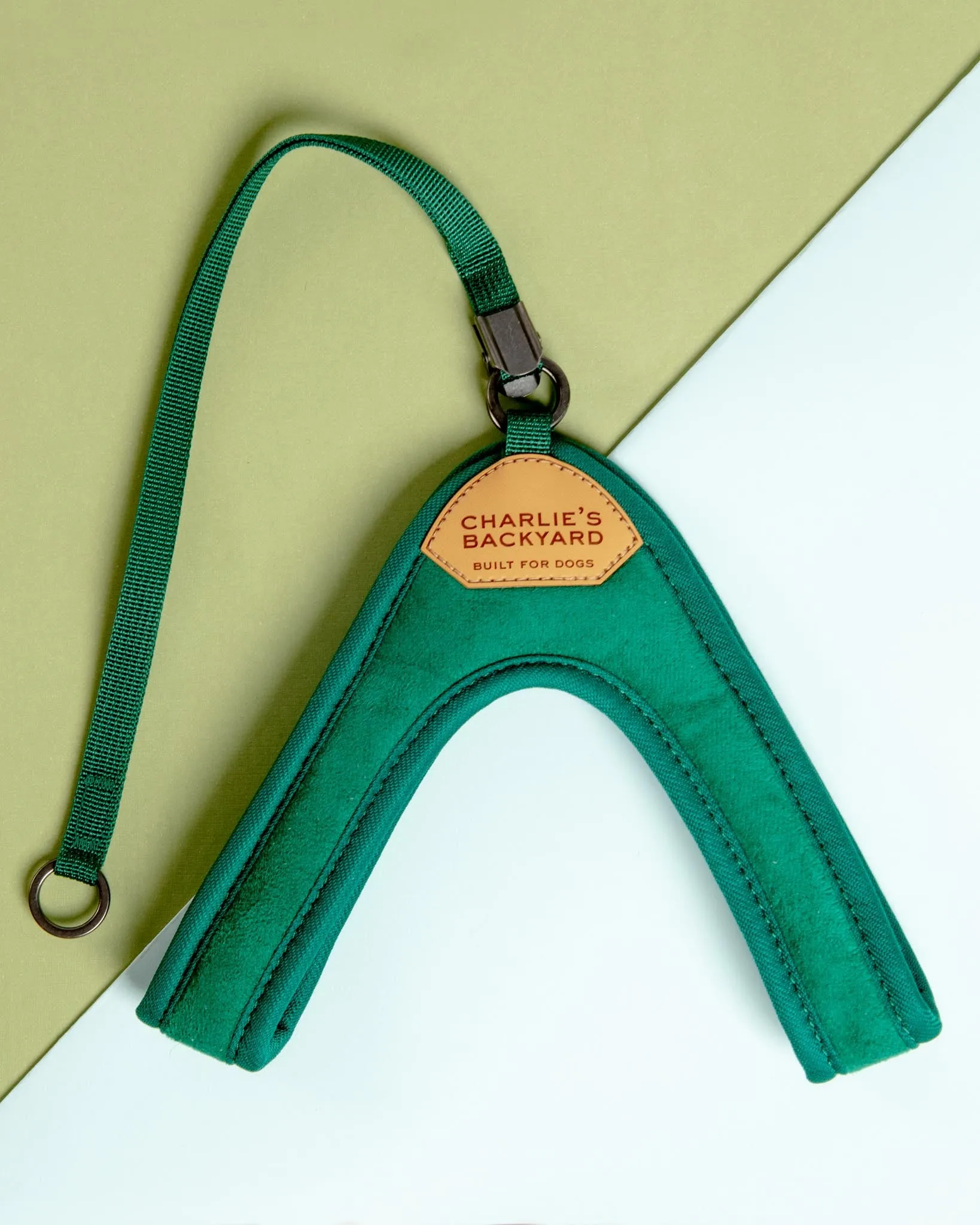 Adjustable Easy Dog Harness in Green