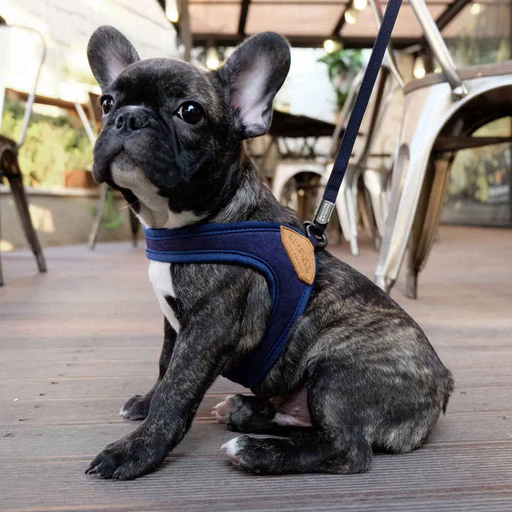 Adjustable Easy Dog Harness in Navy