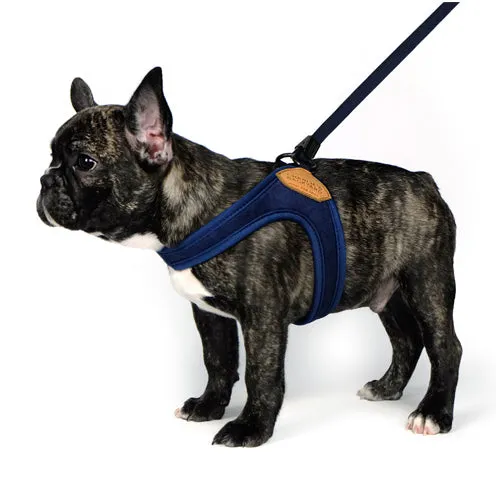 Adjustable Easy Dog Harness in Navy