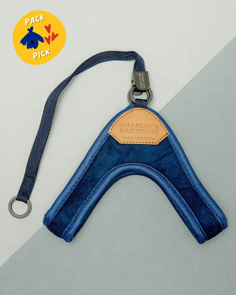 Adjustable Easy Dog Harness in Navy