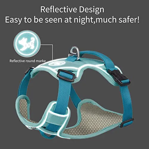 AIITLE Durable Dog Vest Harness, No Pull Pet Harness with Safety Memory Buckle, Adjustable Breathable Dog Harness, Reflective Outdoor Pet Vest for Extra Small Dogs Blue XXS