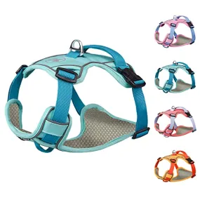 AIITLE Durable Dog Vest Harness, No Pull Pet Harness with Safety Memory Buckle, Adjustable Breathable Dog Harness, Reflective Outdoor Pet Vest for Extra Small Dogs Blue XXS