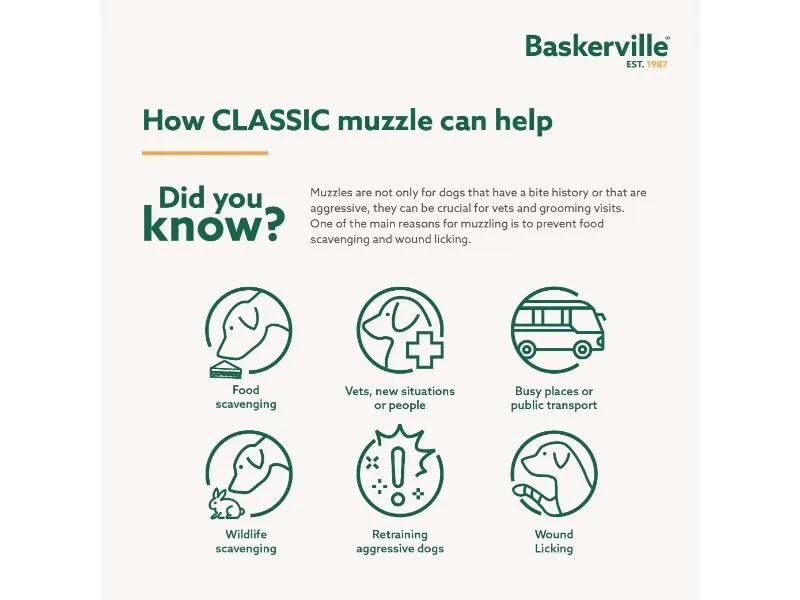 Baskerville Classic Basket Muzzle Size 10