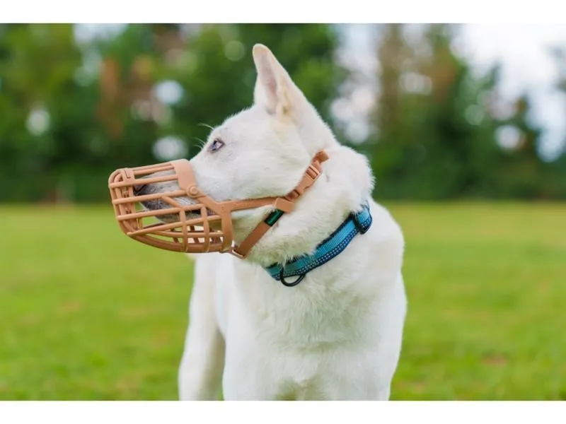 Baskerville Classic Basket Muzzle Size 2