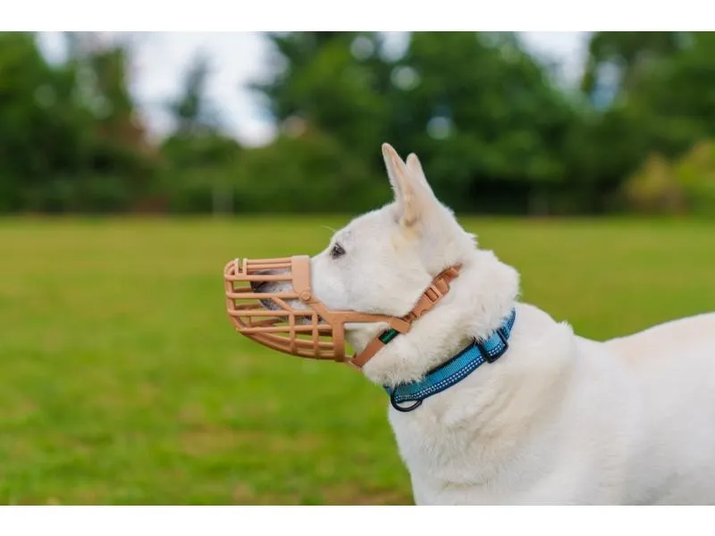 Baskerville Classic Basket Muzzle Size 5