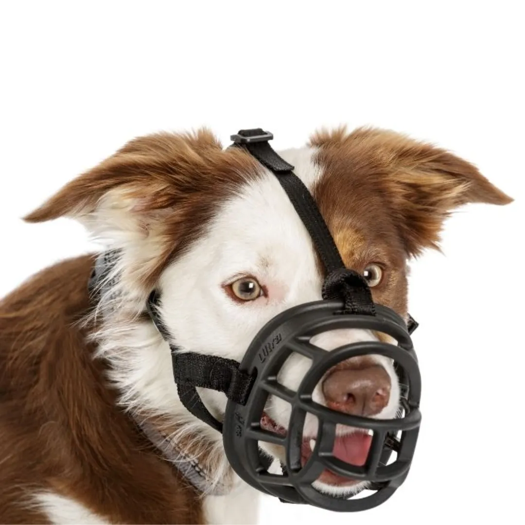 Baskerville Ultra Dog Muzzle