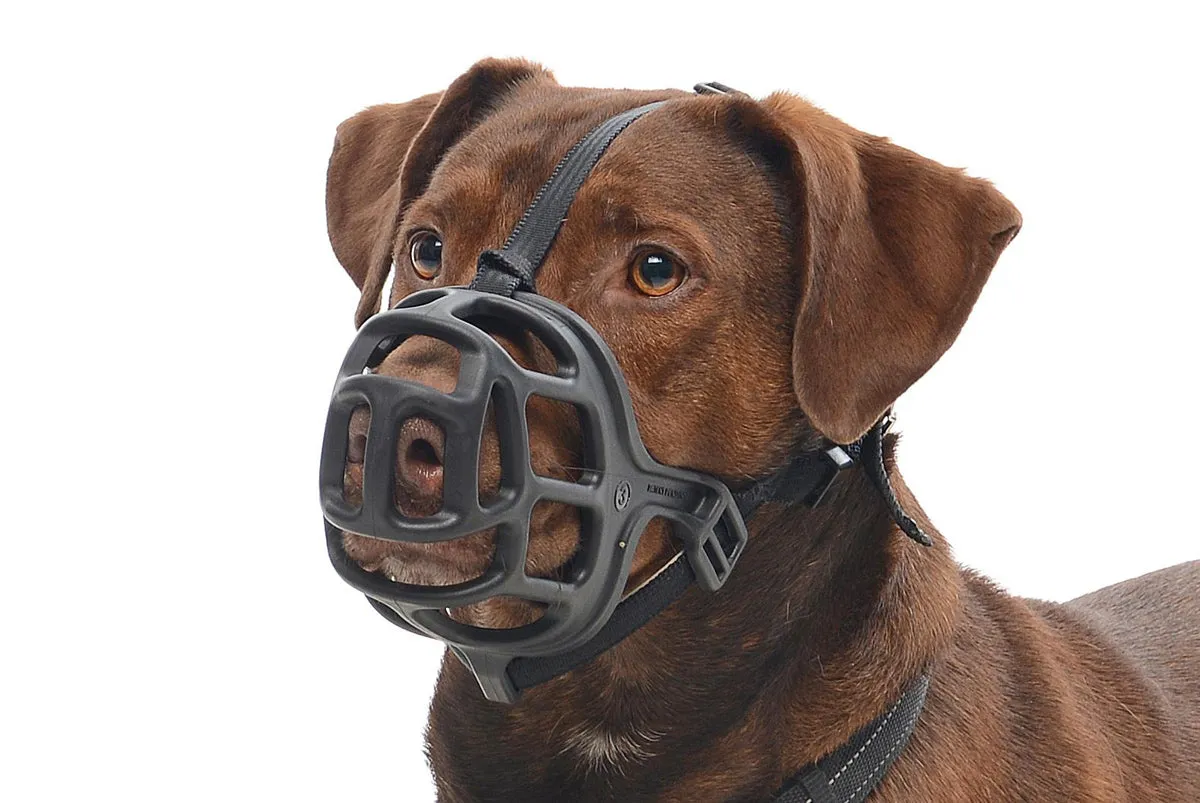 Buster Extreme Dog Muzzles