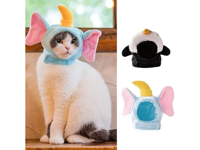 Cat Hat Penguin