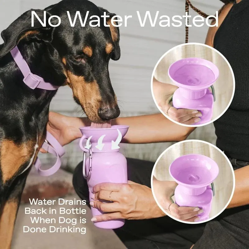 Classic Dog Travel Water Bottle