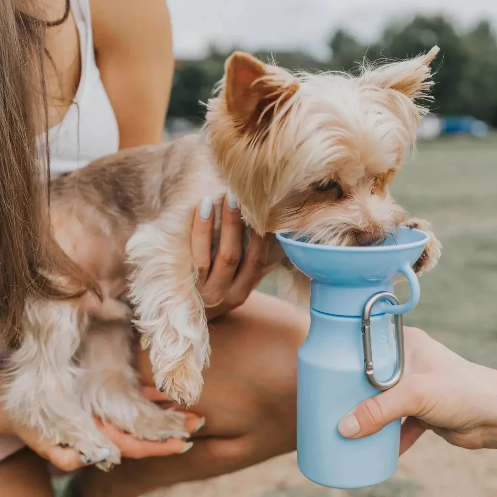 Classic Dog Travel Water Bottle