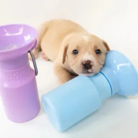 Classic Dog Travel Water Bottle