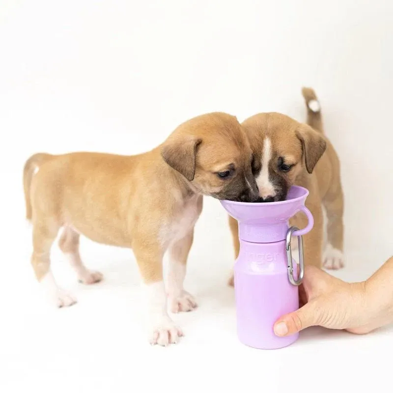 Classic Dog Travel Water Bottle