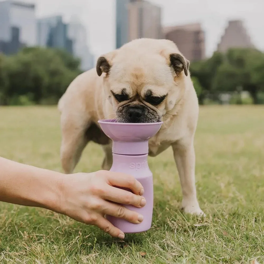 Classic Dog Travel Water Bottle