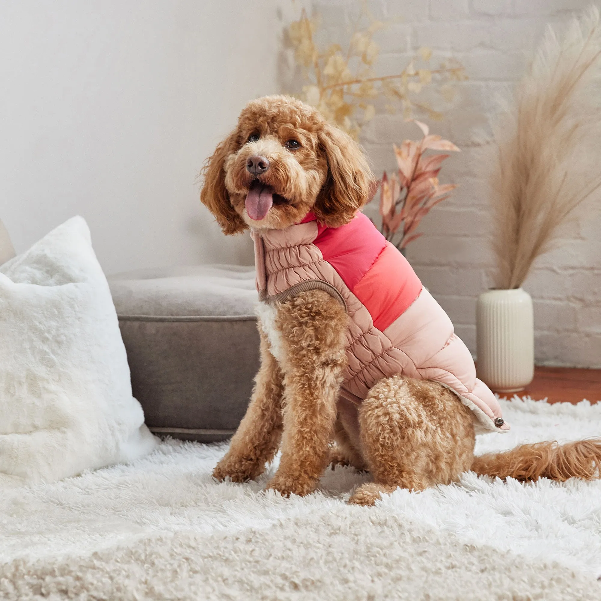 Color Block Dog Puffer | Pink