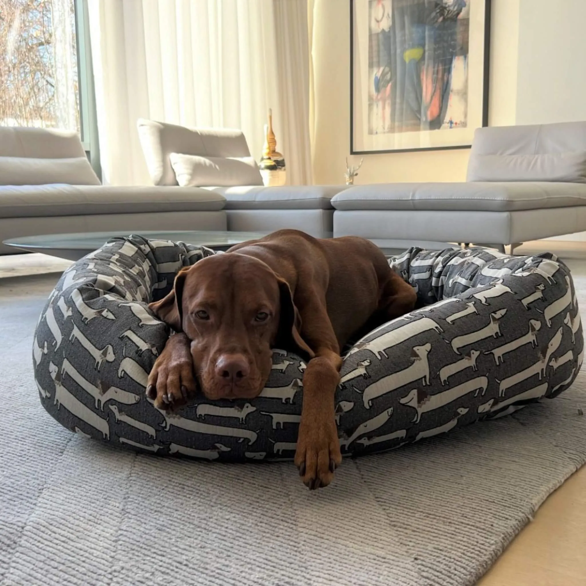 Dashing Dogs Donut Dog Bed