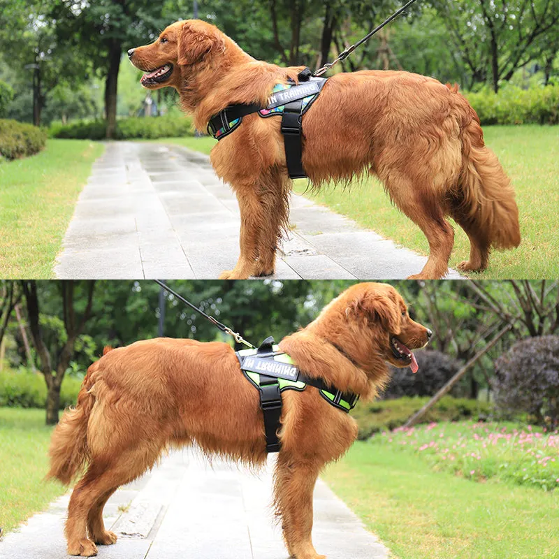 Dog Chest Strap