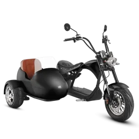 Eahora M1P Plus   Sidecar - Black