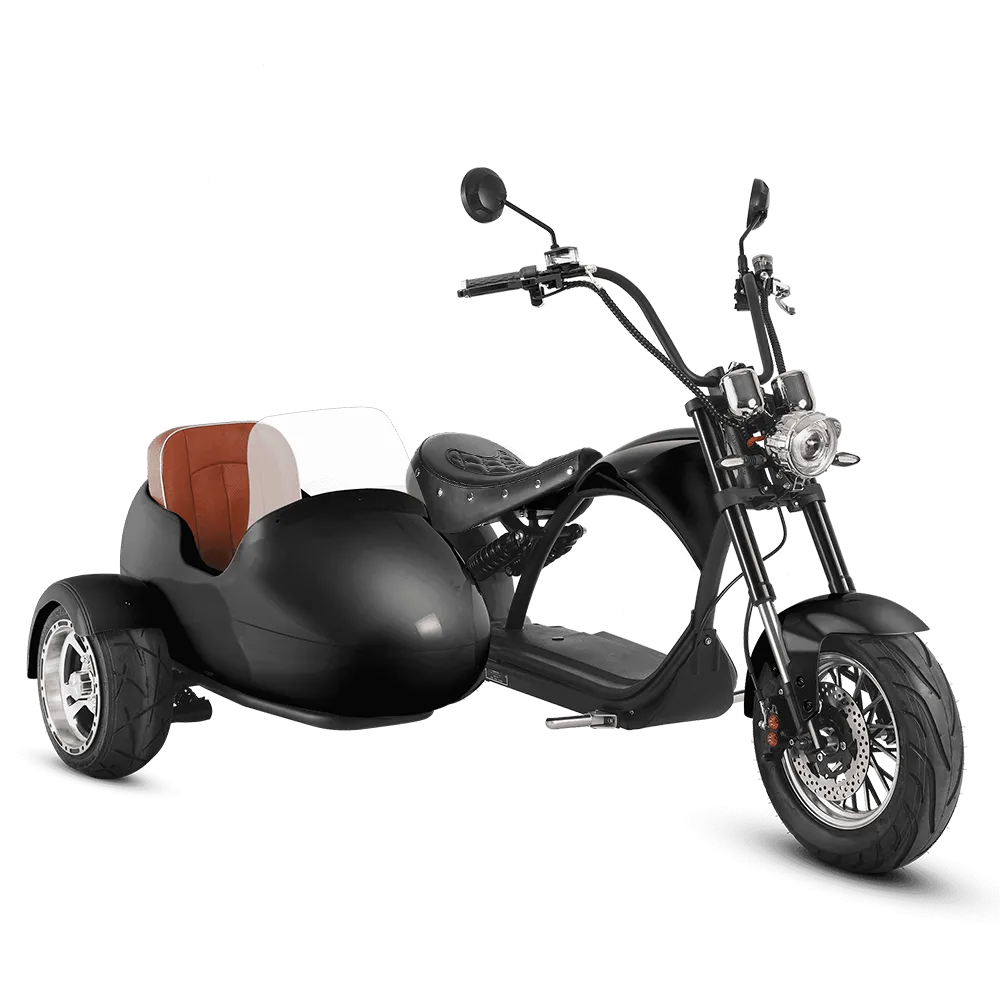 Eahora M1P Plus   Sidecar - Black