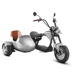 Eahora M1P   Sidecar - Space Silver