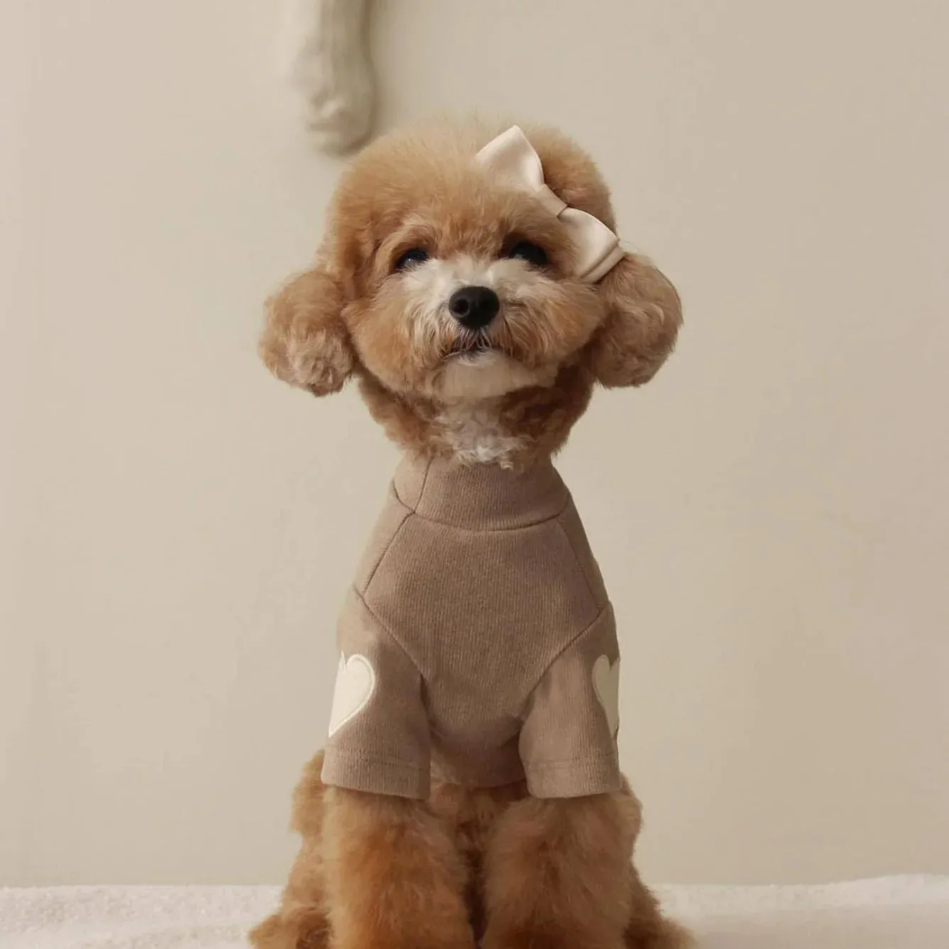 Embroidered Dog Sweater