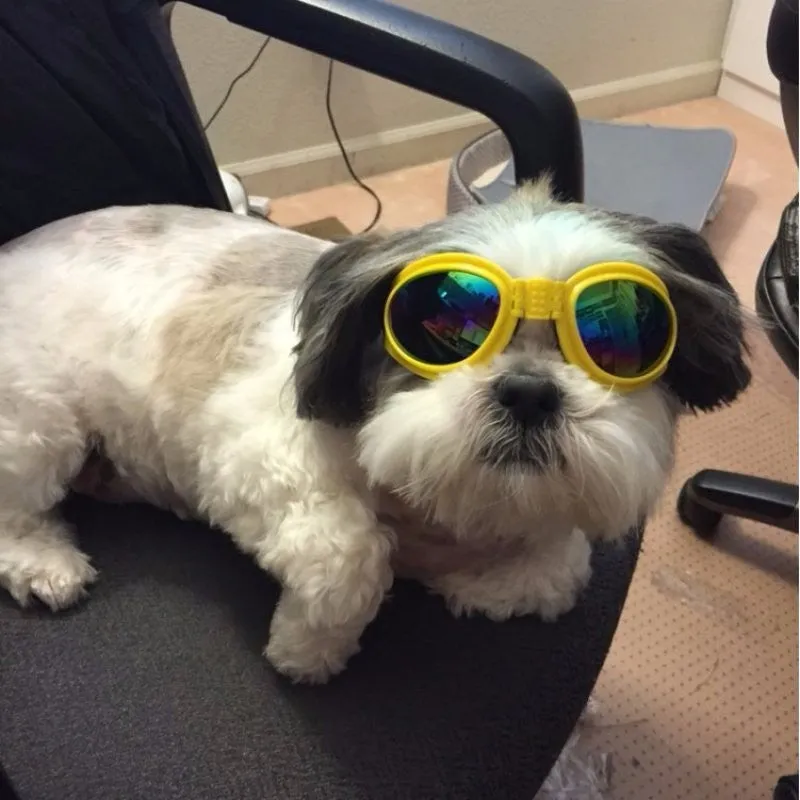 Foldable Dog Sunglasses