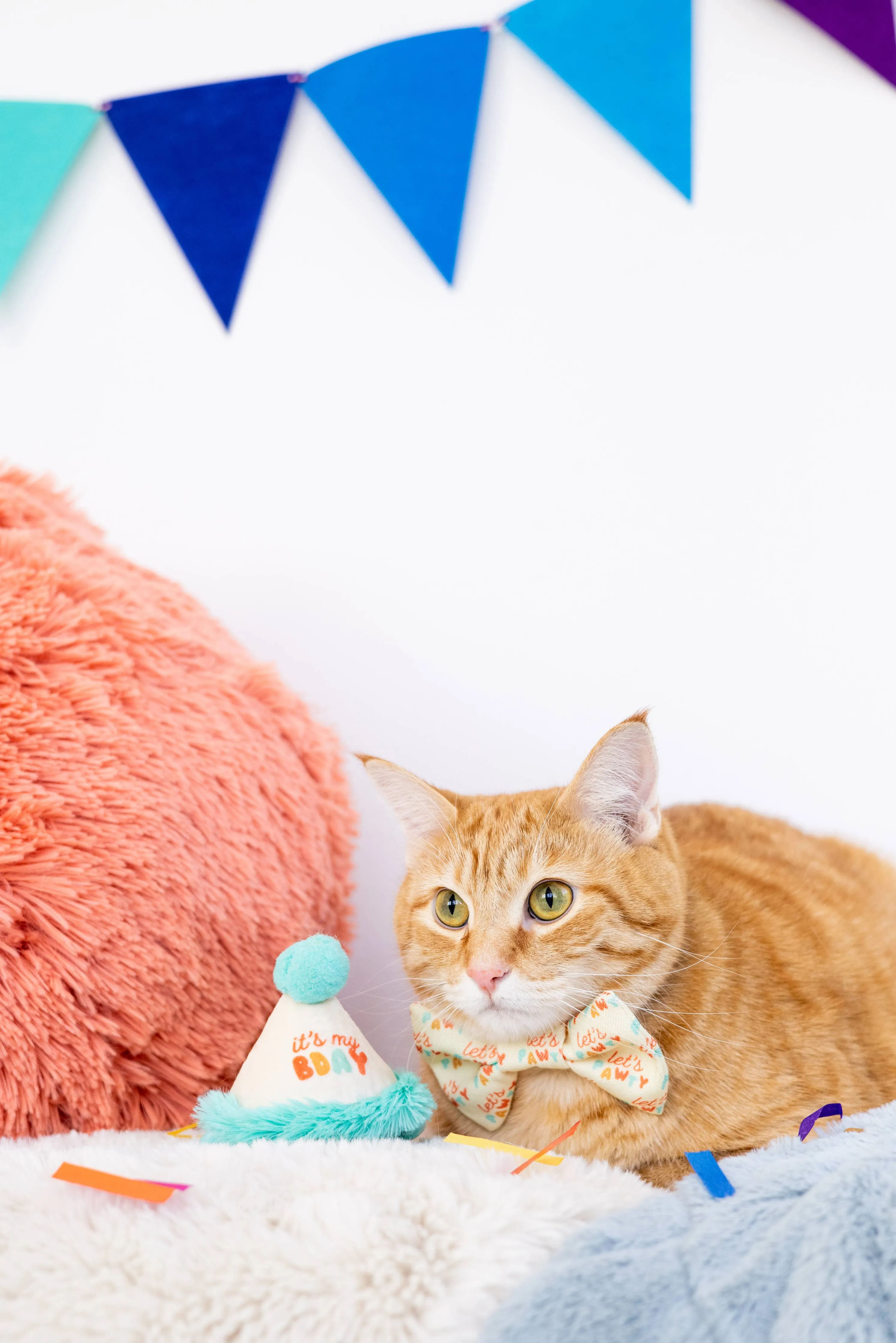 Happy Purrday Cat Hat and Bowtie Set