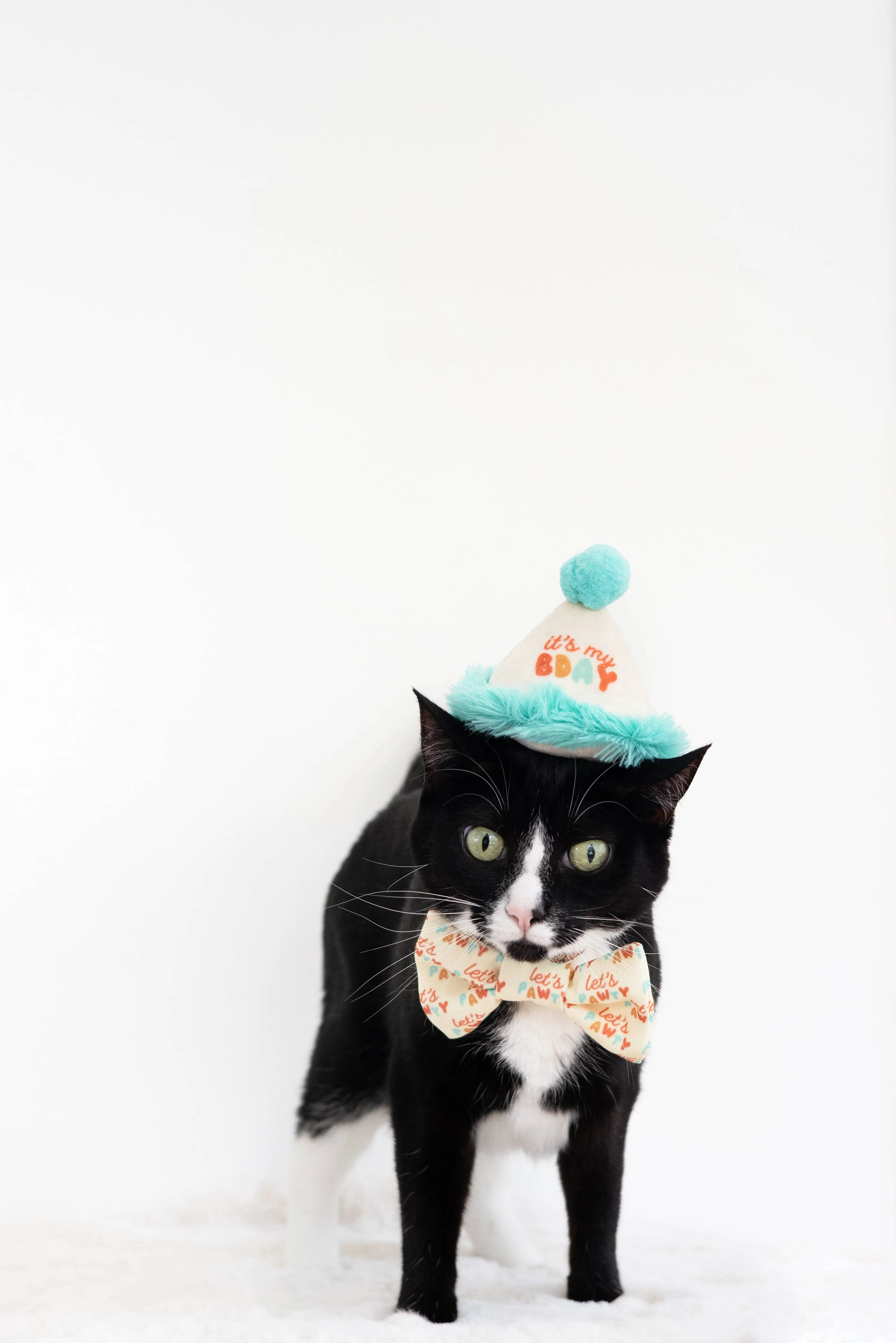 Happy Purrday Cat Hat and Bowtie Set