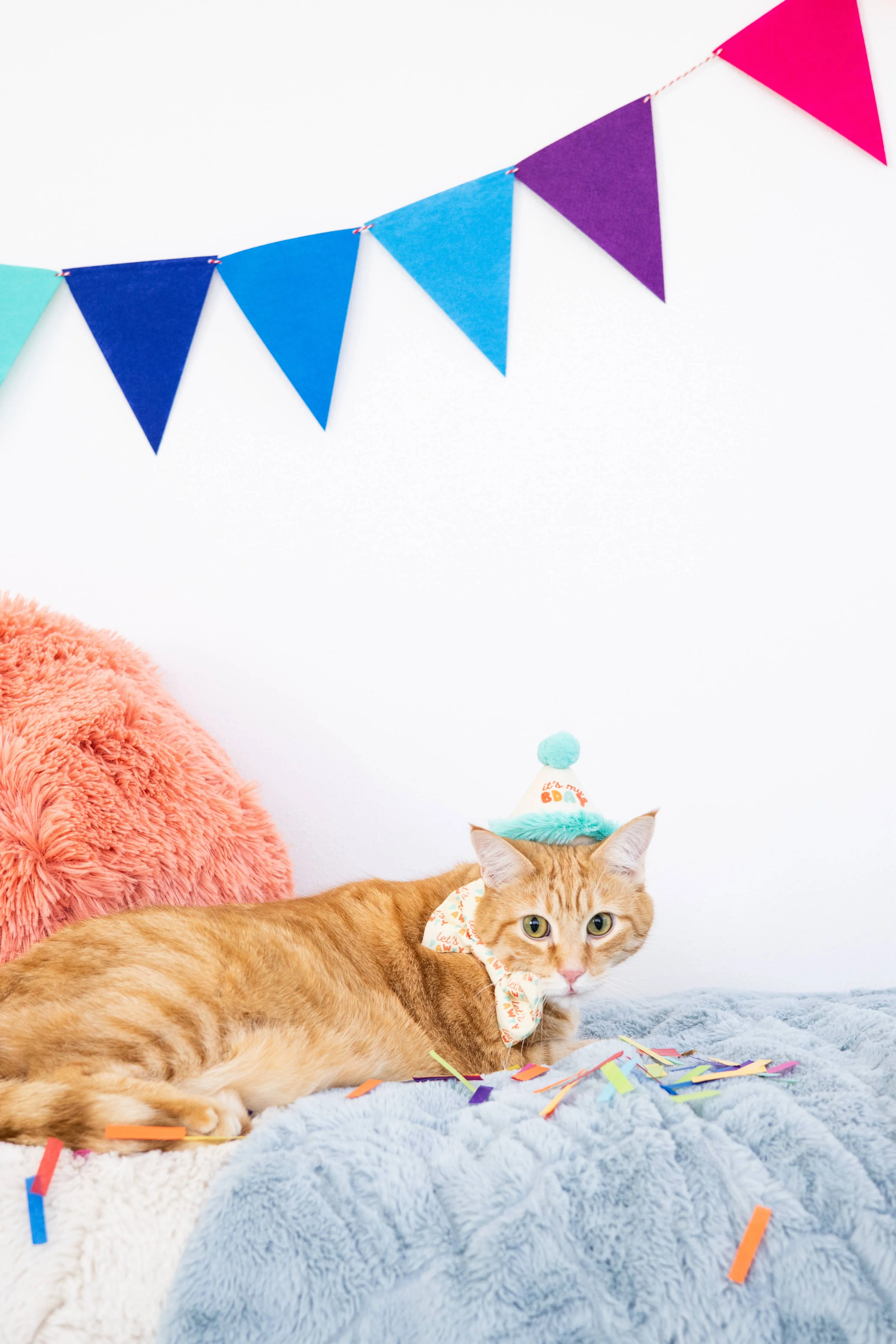 Happy Purrday Cat Hat and Bowtie Set