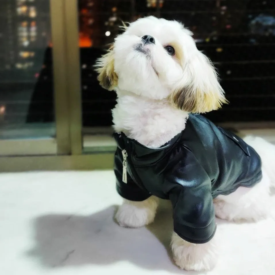 HM Molly Faux Leather Jacket - Jacket For Small Dogs & Puppies