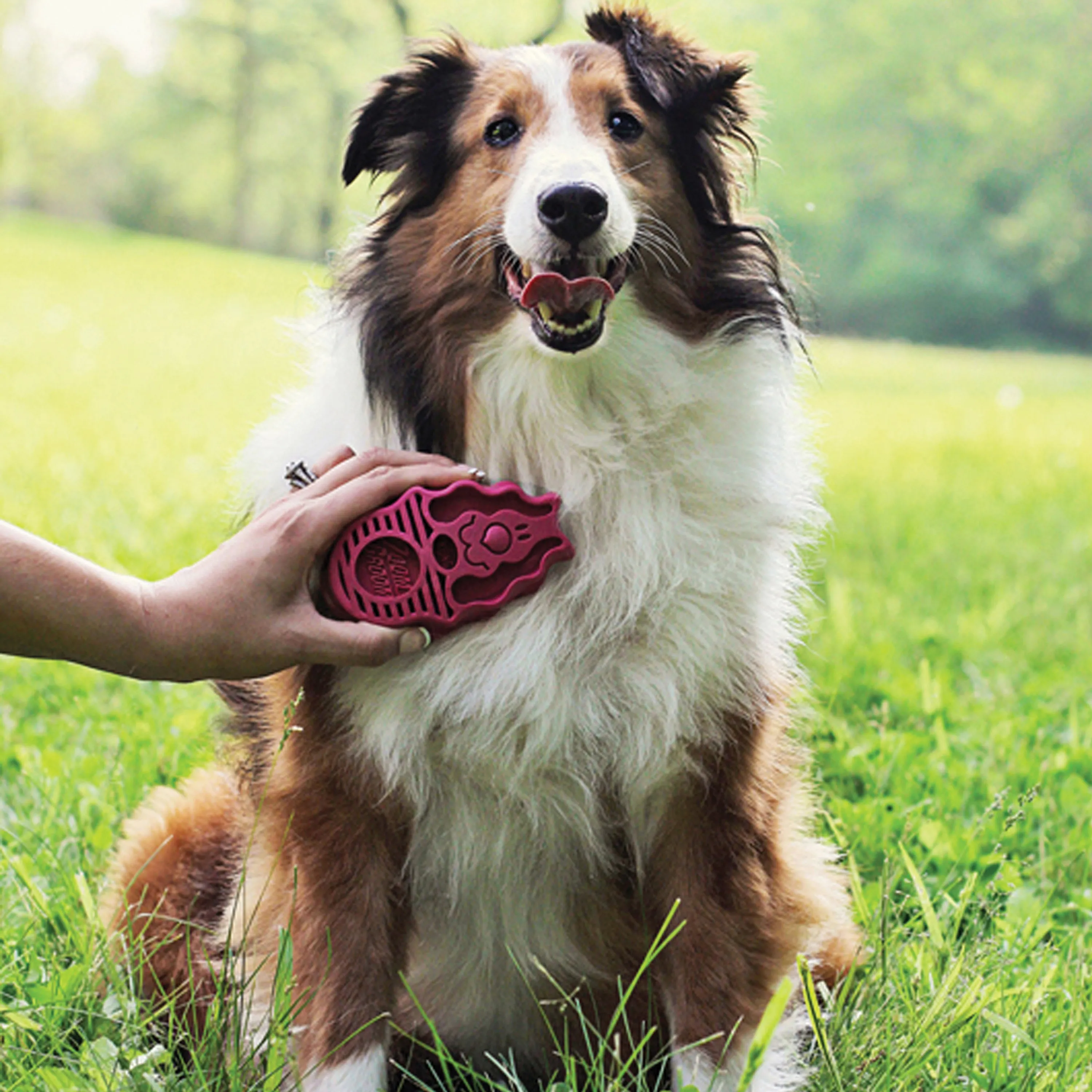 KONG ZoomGroom Raspberry