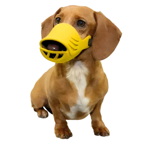 Large Silicone Muzzle for Dogs by Artero