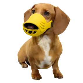 Large Silicone Muzzle for Dogs by Artero