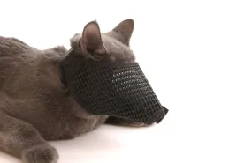 Muzzles Mesh Cat  - Large