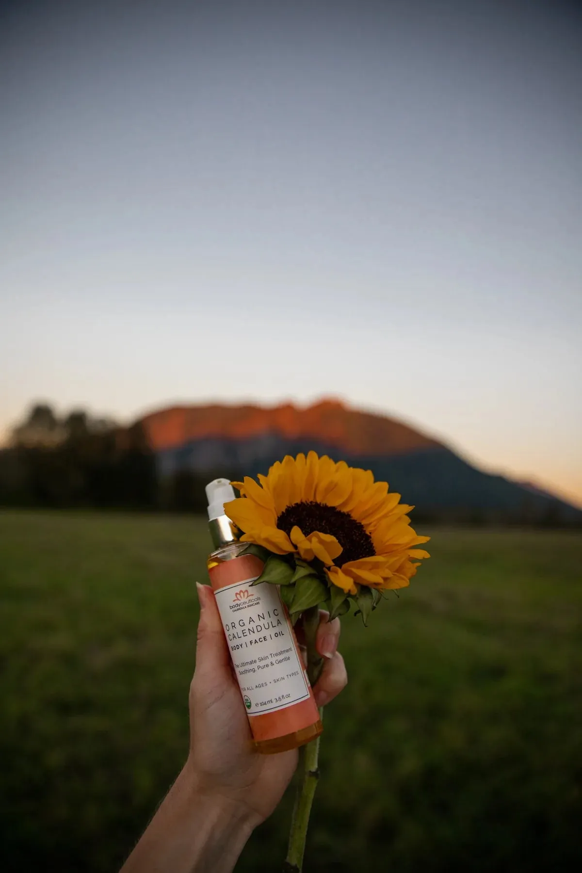 Organic Calendula Oil