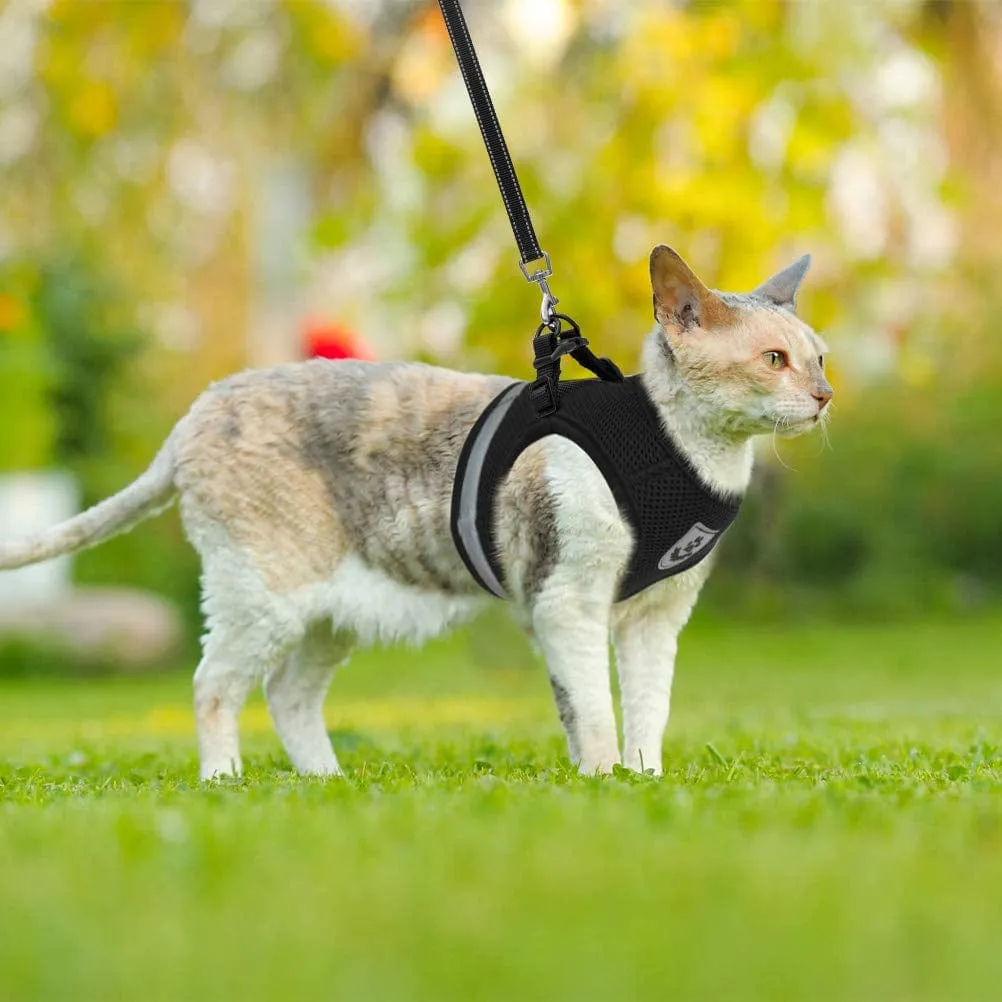 Pat and Pet Emporium | Pet Harnesses | Cat Pet Leash Harness