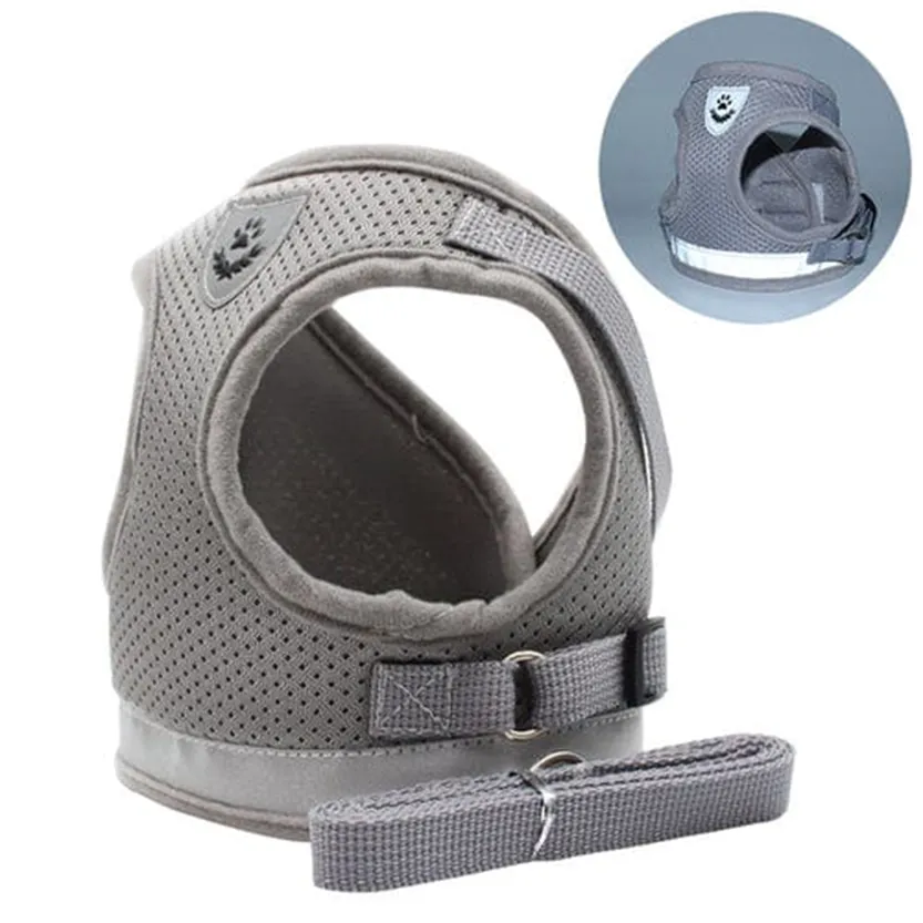 Pat and Pet Emporium | Pet Harnesses | Cat Pet Leash Harness