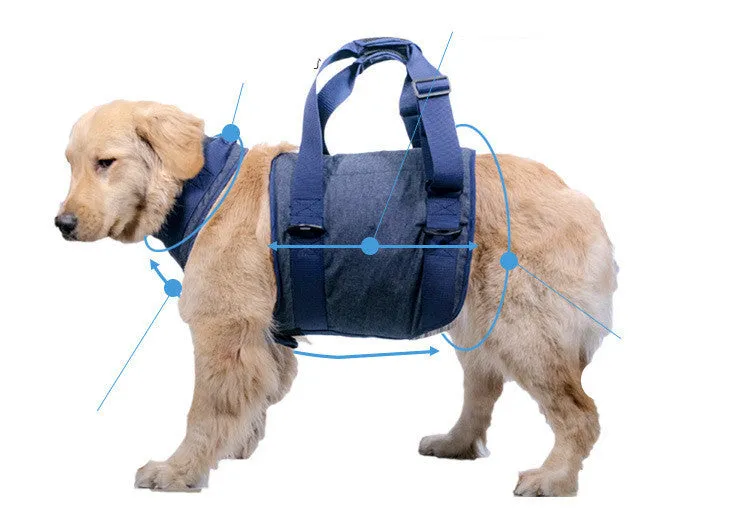 Pet Dog harness