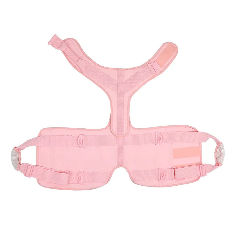 Pet Dog harness