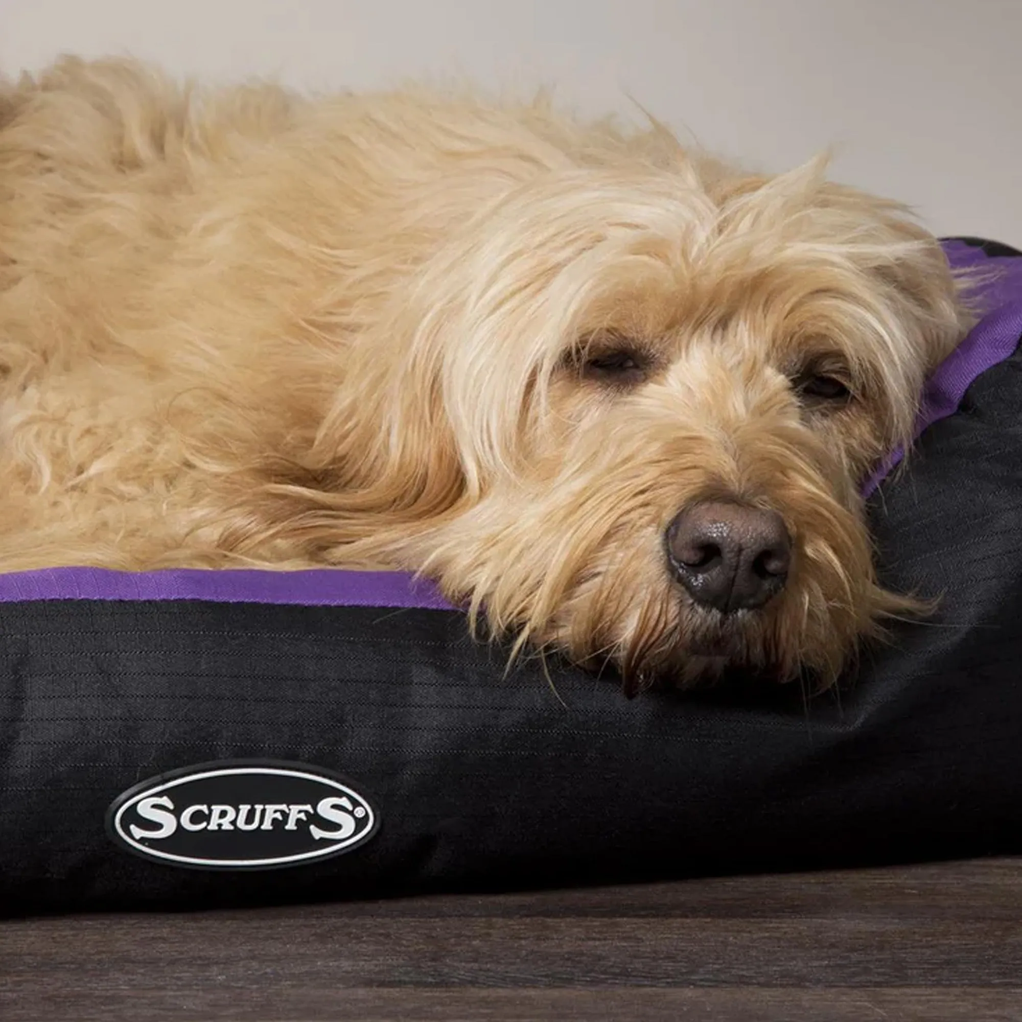 Scruffs Expedition Box Bed