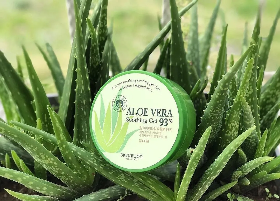 SKINFOOD Aloe Vera 93% Soothing Gel جل الصبار