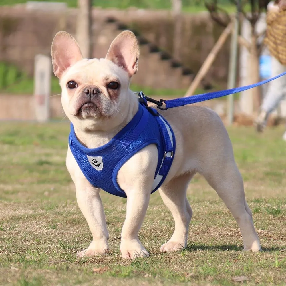 Strap-style Dog Leash Adjustable Reflective Vest Walking Lead for Puppy Polyester Mesh Harness