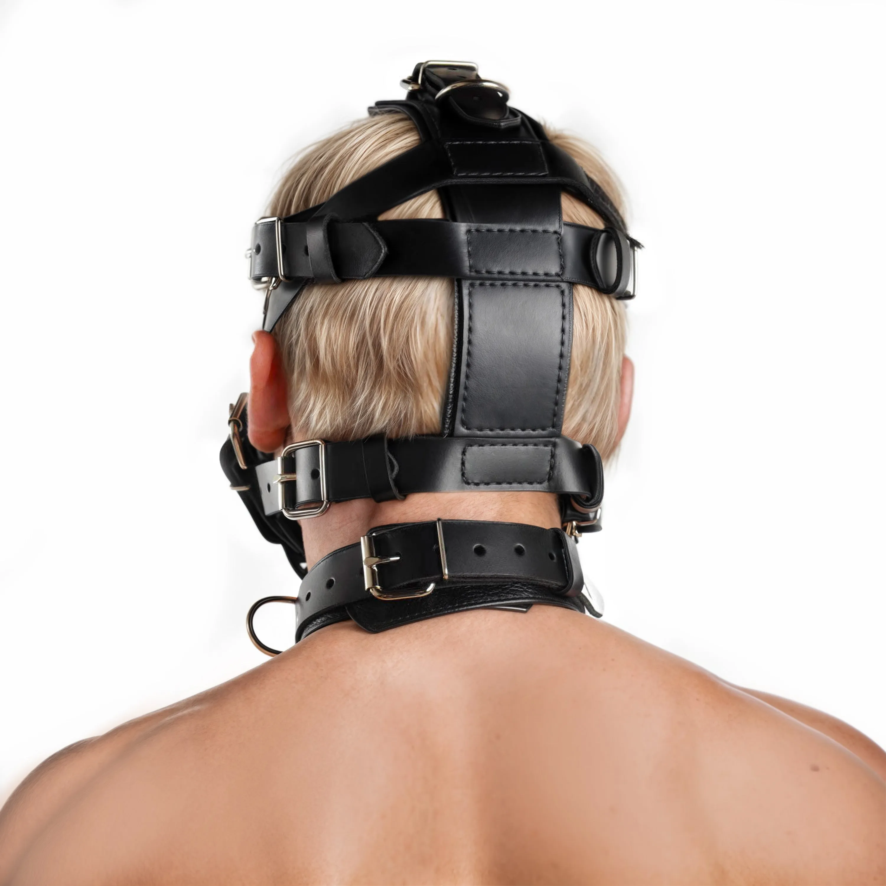 Strict Leather Padded Muzzle