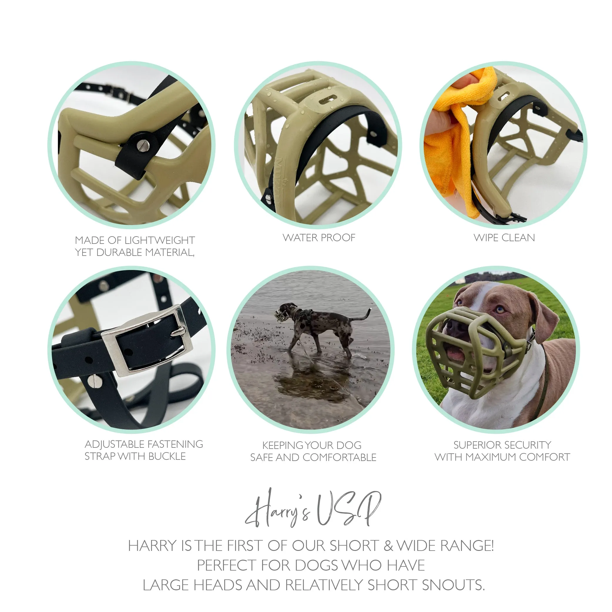 The Muzzle Movement Size Harry (Wholesale)