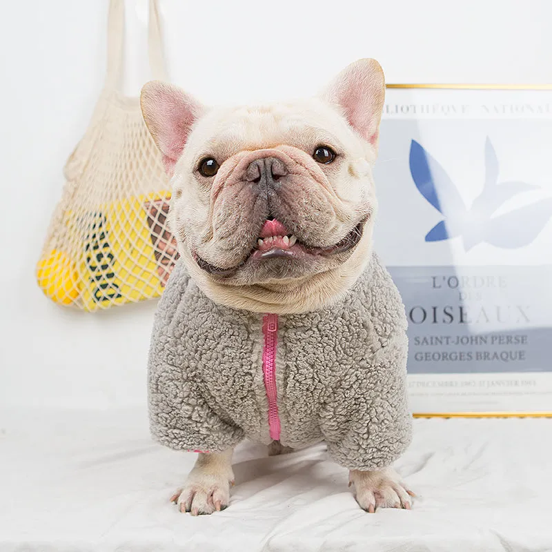 Trendy Winter Cloth for French Bulldog (WJ12)