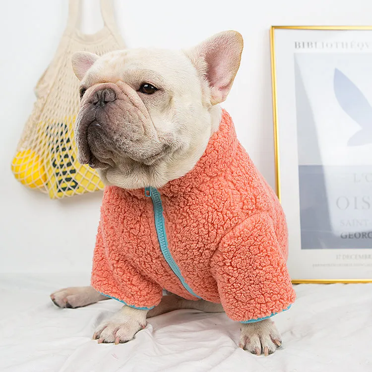 Trendy Winter Cloth for French Bulldog (WJ12)