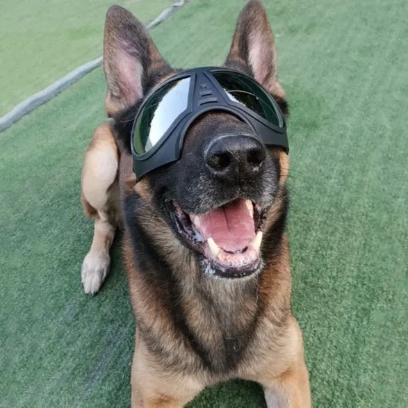 Waterproof Dog Glasses