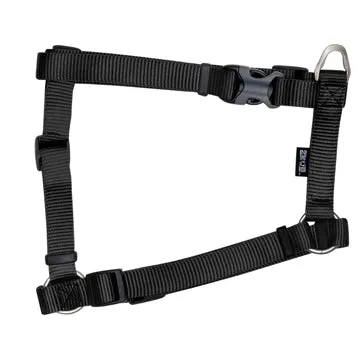 Zeus Nylon Dog Harness - Charcoal - XLarge - 2.5 cm x 61-100 cm (1in x 24in-39in)